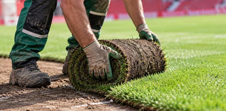 El Molinón se queda sin césped: el Sporting prepara un cambio completo en plena temporada