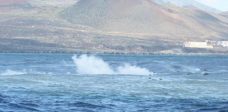 El PEVOLCA mantiene la vigilancia de la erupción submarina de El Hierro