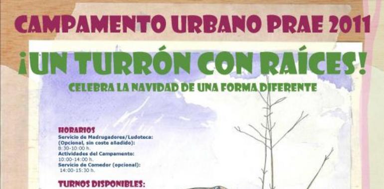 Campamento navideño para acercar a los niños a la cultura de la sostenibilidad