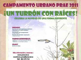 Campamento navideño para acercar a los niños a la cultura de la sostenibilidad