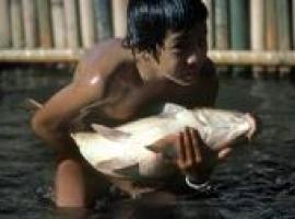 La FAO y la OIT se asocian frente al trabajo infantil en la pesca