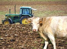 El nivel de endeudamiento del sector supera por cuarto año consecutivo a la renta agraria