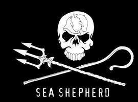 Buque de Sea Shepherd dañado gravemente por una ola gigante 