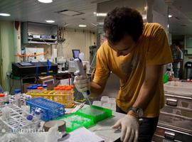 Un repaso a la ciencia española del año