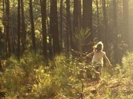 Acutal 2012 abre su completa programación musical, cinematográfica y cultural