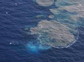 Primeros vídeos de las erupciones del volcán submarino de la Restinga