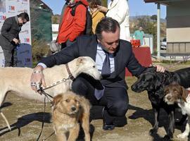 Se fomenta la adopción de mascotas de cara a los regalos navideños