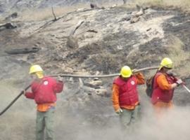 Chile lucha con todos los recursos contra los devastadores incendios forestales