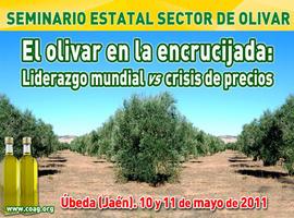 El olivar en la encrucijada