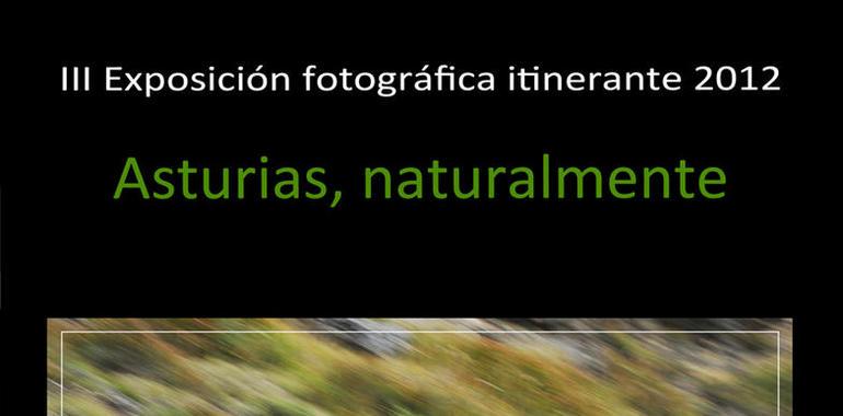 Asturias, naturalmente, fotografía de Naturaleza en Grado