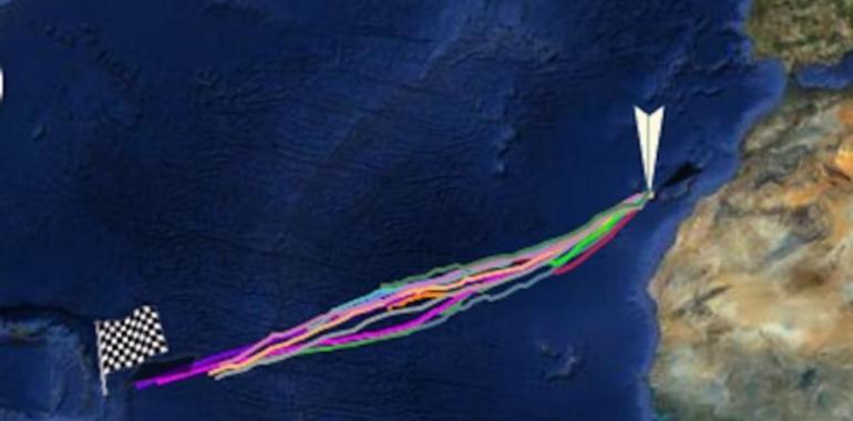 A los remeros del Atlantic Challenger les llueven los problemas; pero siguen adelante…