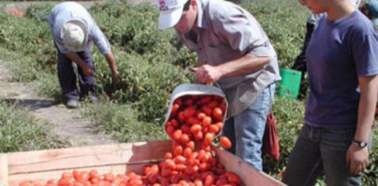 ONU en 2012 buscará erradicar el hambre y la desnutrición en el mundo 