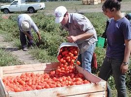 ONU en 2012 buscará erradicar el hambre y la desnutrición en el mundo 