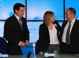 Pérez-Espinosa propone un pacto por la sanidad liderado por el Parlamento asturiano