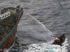 Tres tripulantes de Sea Shepherd heridos en enfrentamiento con buque ballenero japonés