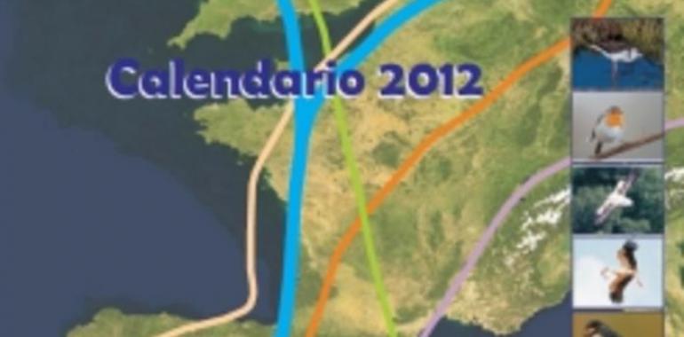 Navarra edita un calendario 2012 dedicado a las aves migratorias 