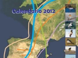 Navarra edita un calendario 2012 dedicado a las aves migratorias 
