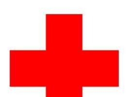Medalla de Oro para el programa de Ayuda a Diabéticos Saharauis de Cruz Roja Asturias