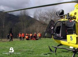 Un cazador resulta herido por un disparo en una cacería en Alava de Salas