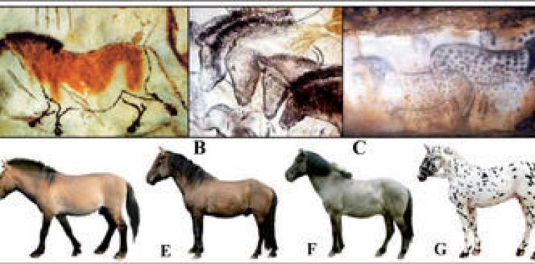 Los caballos moteados del arte rupestre existieron en el Paleolítico europeo