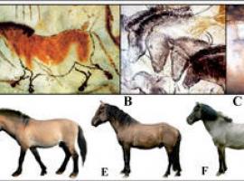 Los caballos moteados del arte rupestre existieron en el Paleolítico europeo