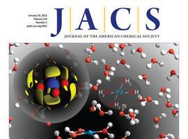 Estudio teórico-experimental sobre la estructura molecular de la región axial del paladio(II) en agua