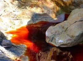 Descubren 30 nuevos genes en el ambiente extremo de río Tinto