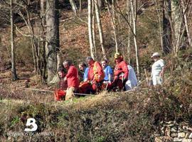 El helicóptero del Principado traslada a un herido por aplastamiento de árbol en Espinaredo