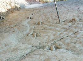 Así pisaban los dinosaurios de Costalomo