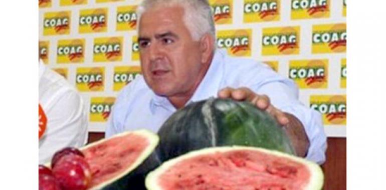 Ataque frontal contra el tejido productivo hortofrutícola español