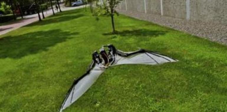 Robots murciélago: el futuro en micro-vehículos aéreos 