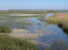 La laguna de La Nava se suma el jueves a la celebración del Día Mundial de los Humedales
