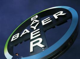 Bayer  recibe el Premio Fundamed por las plantas de La Felguera y BerliMed