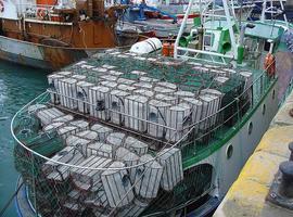 Asturias plantea al Ministerio la pesquería de merluza para palangre con un cupo semanal limitado