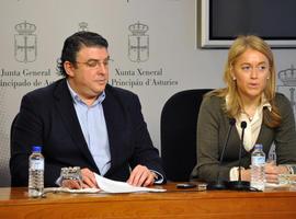 FORO presenta una iniciativa ante la Junta General para reducir los gastos electorales un 30%  