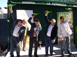 Las II Jornadas de la Sidra de Manzana Seleccionada se celebrarán en marzo