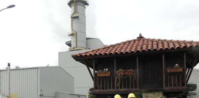 La Consejera de Fomento visita la central de ciclo combinado de HC en Soto de Ribera