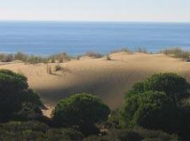 Un estudio constata la tendencia ascendente de las temperaturas en el espacio natural de Doñana