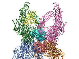 Un estudio desvela la estructura tridimensional de un compuesto inhibidor de proteinasas 