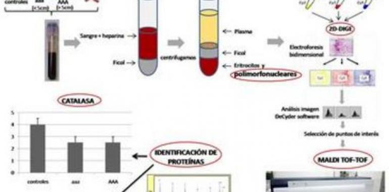 Nuevas posibilidades para el diagnóstico precoz y tratamiento del aneurisma de aorta abdominal