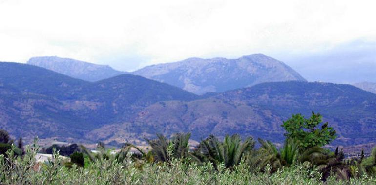 La Universidad de Jaén investiga la falla que provocó los terremotos de Lorca