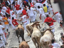 Navarra declara cuatro nuevas Fiestas de Interés Turístico