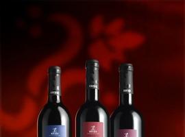 El Consejo Regulador presenta la nueva selección de sus vinos institucionales 