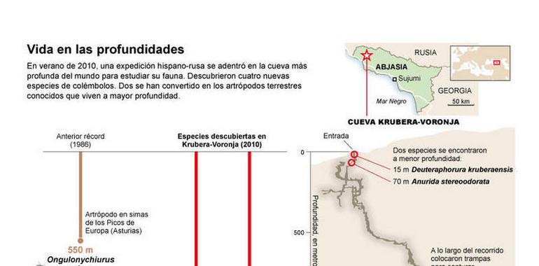 Encontrados los animales terrestres que viven a mayor profundidad 