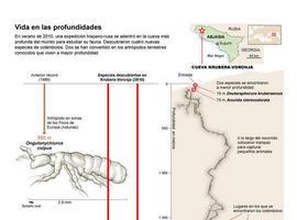 Encontrados los animales terrestres que viven a mayor profundidad 