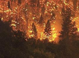Galicia sufre incendios forestales en as Nogais, Calvos de Randín y A Mezquita