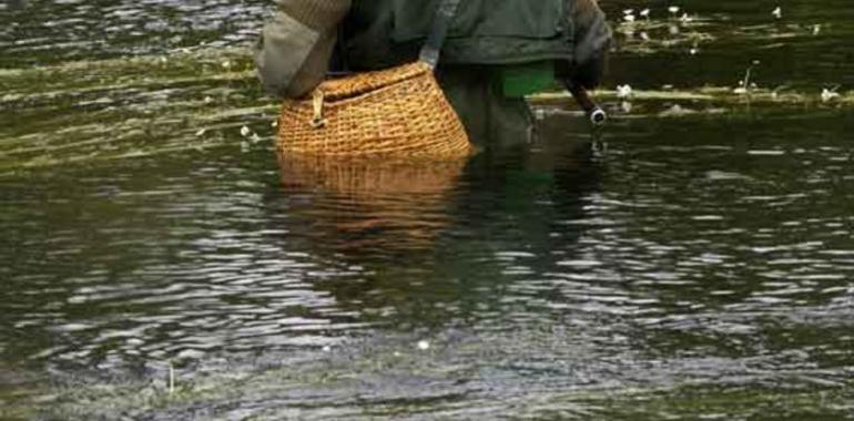 19 salmones más para la cesta asturiana