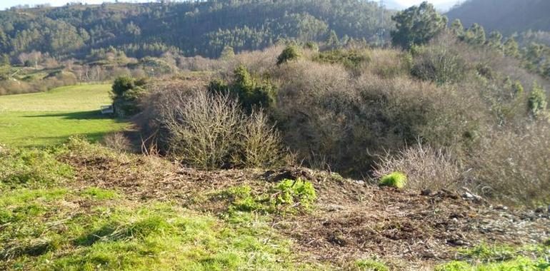 Llanes clausura tres vertederos de basura en Vidiago, La Tornería y Poo 