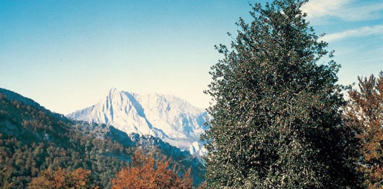 El Alcalde de Cabrales representará a los municipios en Picos de Europa