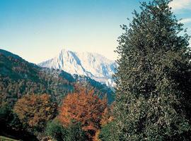 El Alcalde de Cabrales representará a los municipios en Picos de Europa